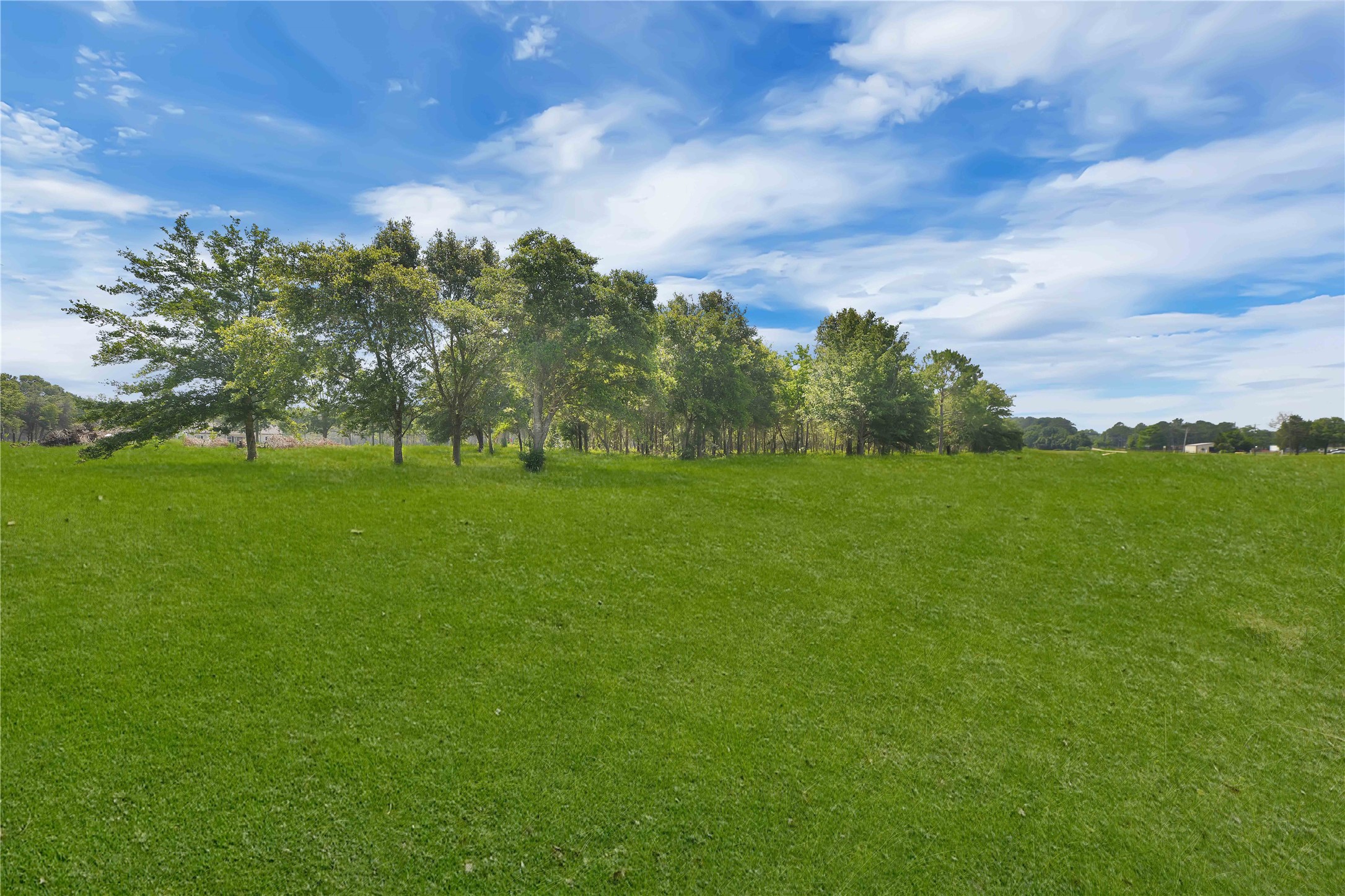 4802 Shadow Pond Lane Alvin, TX 77511 - Photo 8 of 9