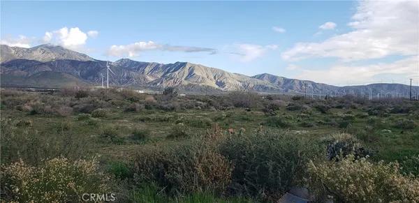 a view of a dry yard with mountains in the background