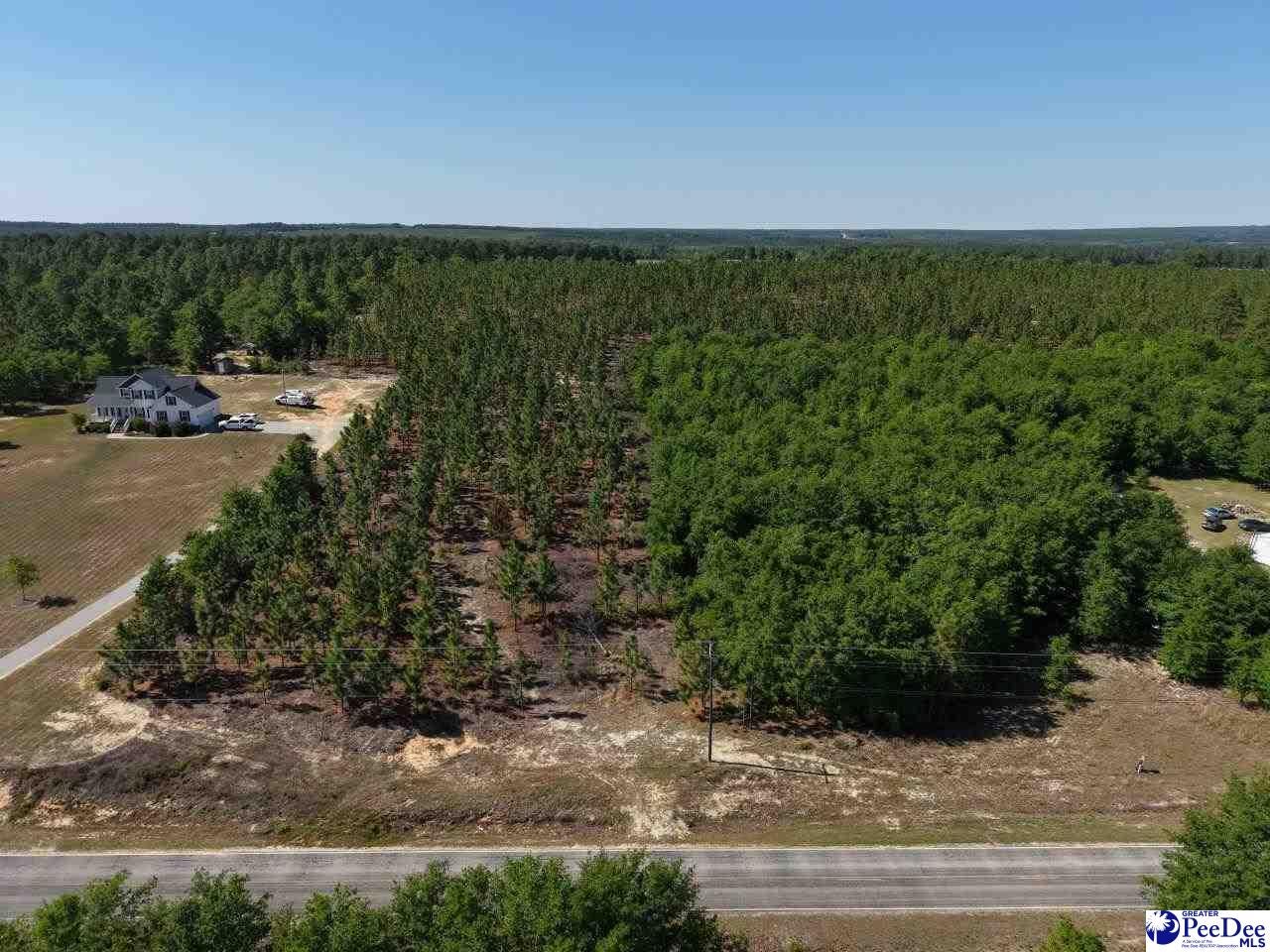 Mt Olivet Church Road Patrick, SC 29584 - Photo 26 of 45 Gallery Image 26