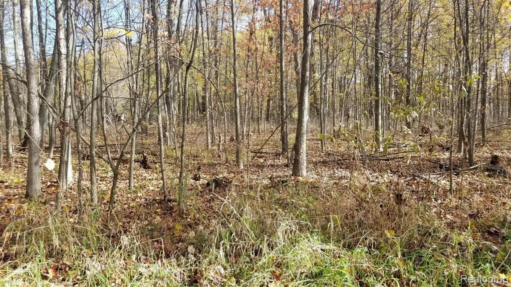 6575 East Clyde Road Howell, MI 48855 - Photo 9 of 14