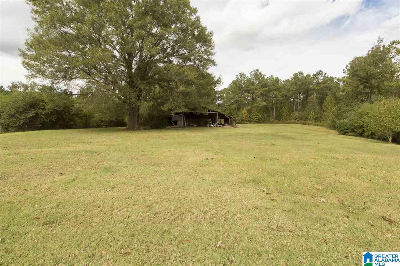 4525 Spunky Hollow Road Remlap, AL 35133 - Photo 3 of 22
