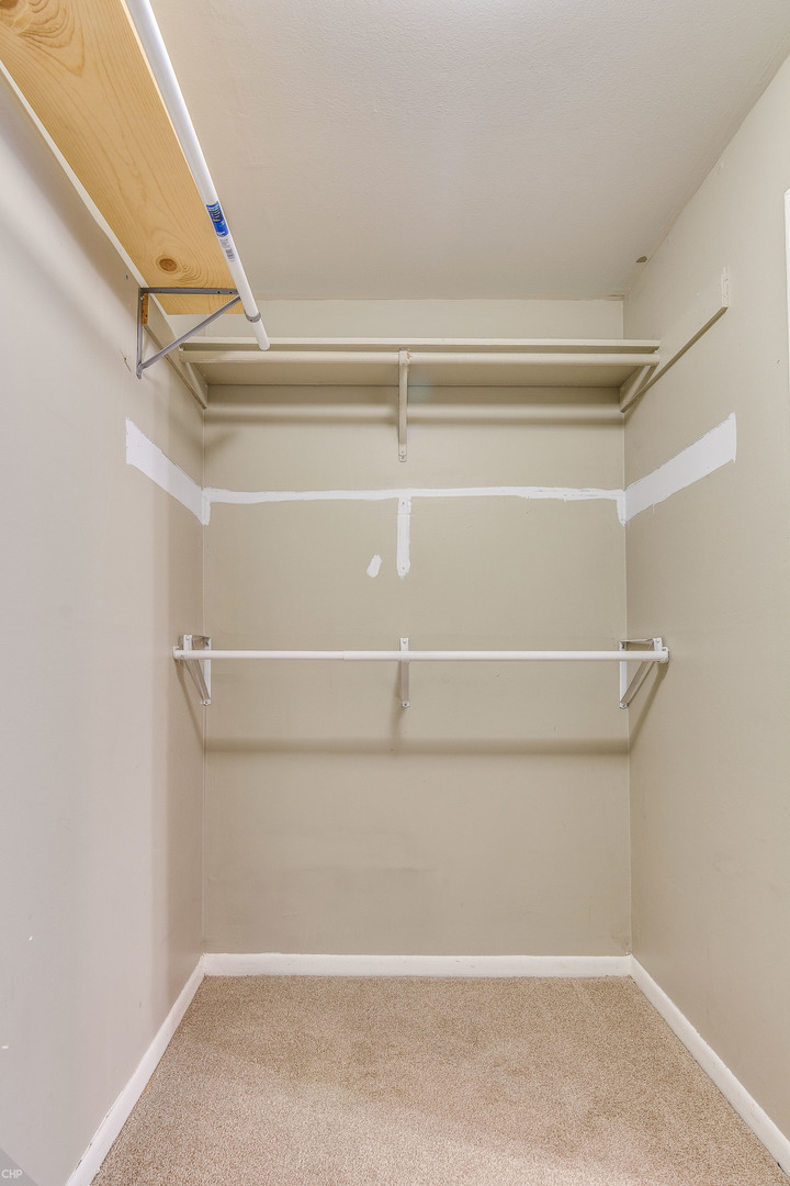 25 East Palatine Road, Unit 101 Arlington Heights, IL 60004 - Photo 21 of 30
