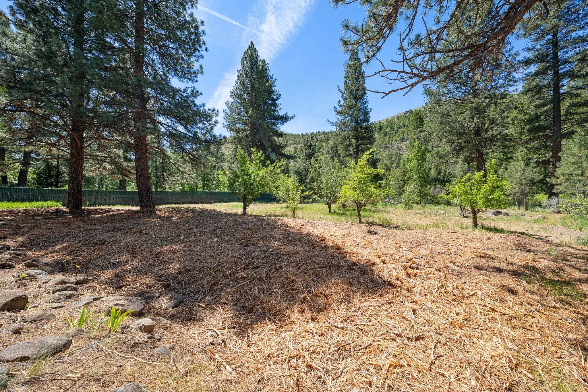 185 Smithneck Road Loyalton, CA 96118 - Photo 9 of 31