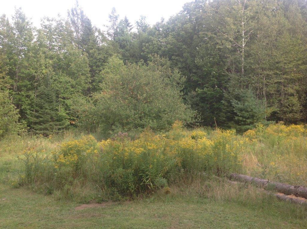15 Notta Road Canaan, ME 04924 - Photo 30 of 30 More apple trees and garden area