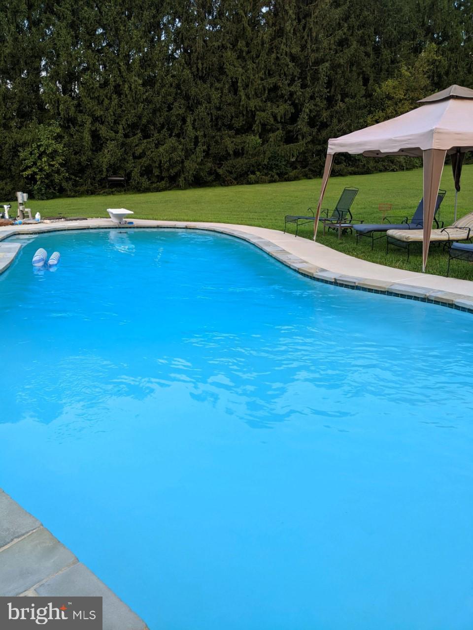 1013 Harkins Road Pylesville, MD 21132 - Photo 8 of 17 5-Year old concrete pool