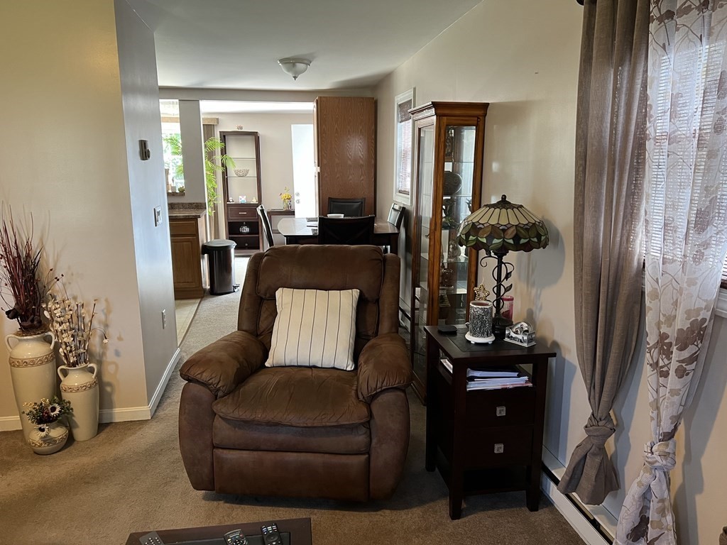 33 Merrill Road Springfield, MA 01119 - Photo 6 of 18 a living room with furniture