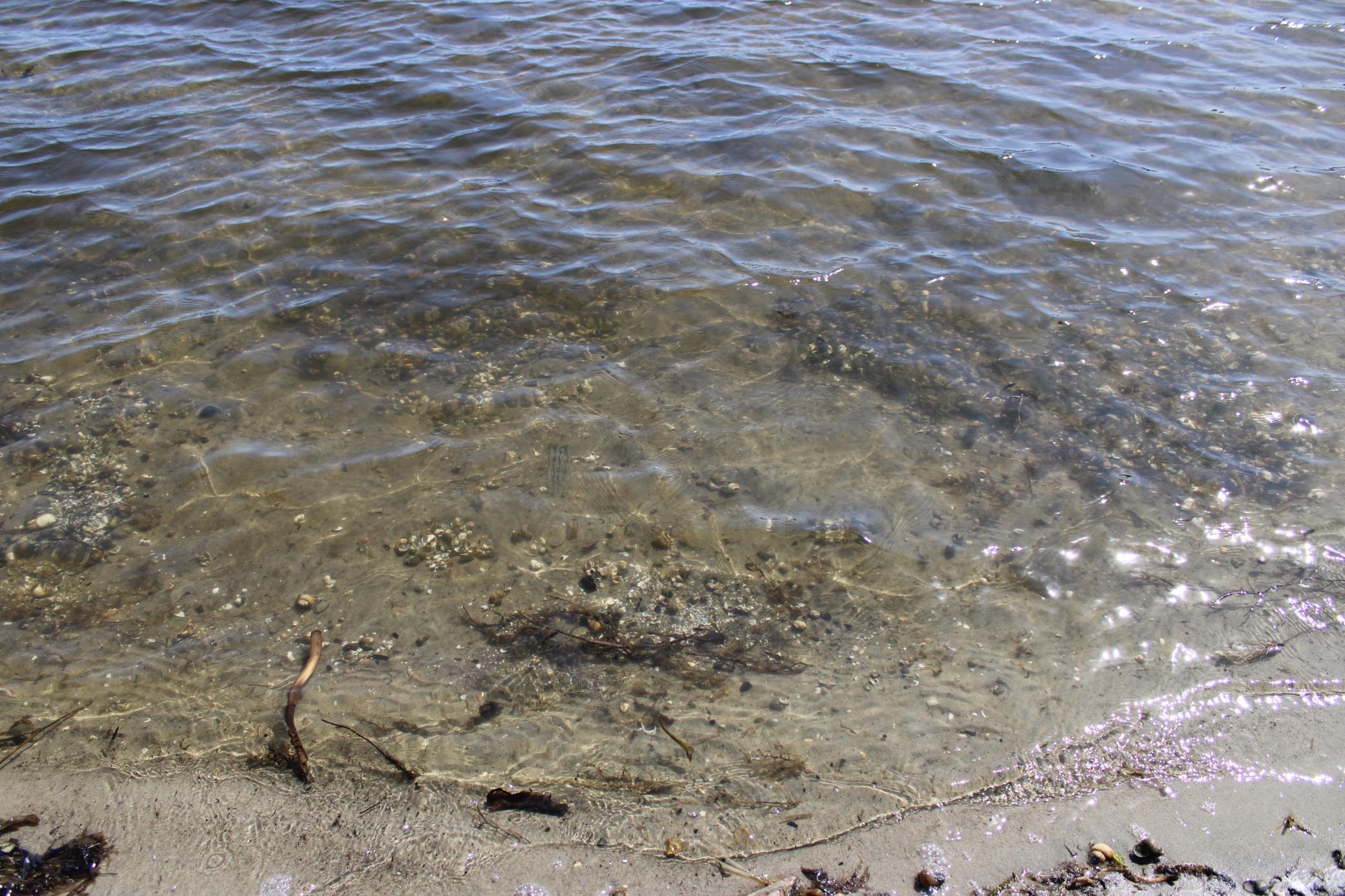 520 Main Street Menahga, MN 56464 - Photo 25 of 31