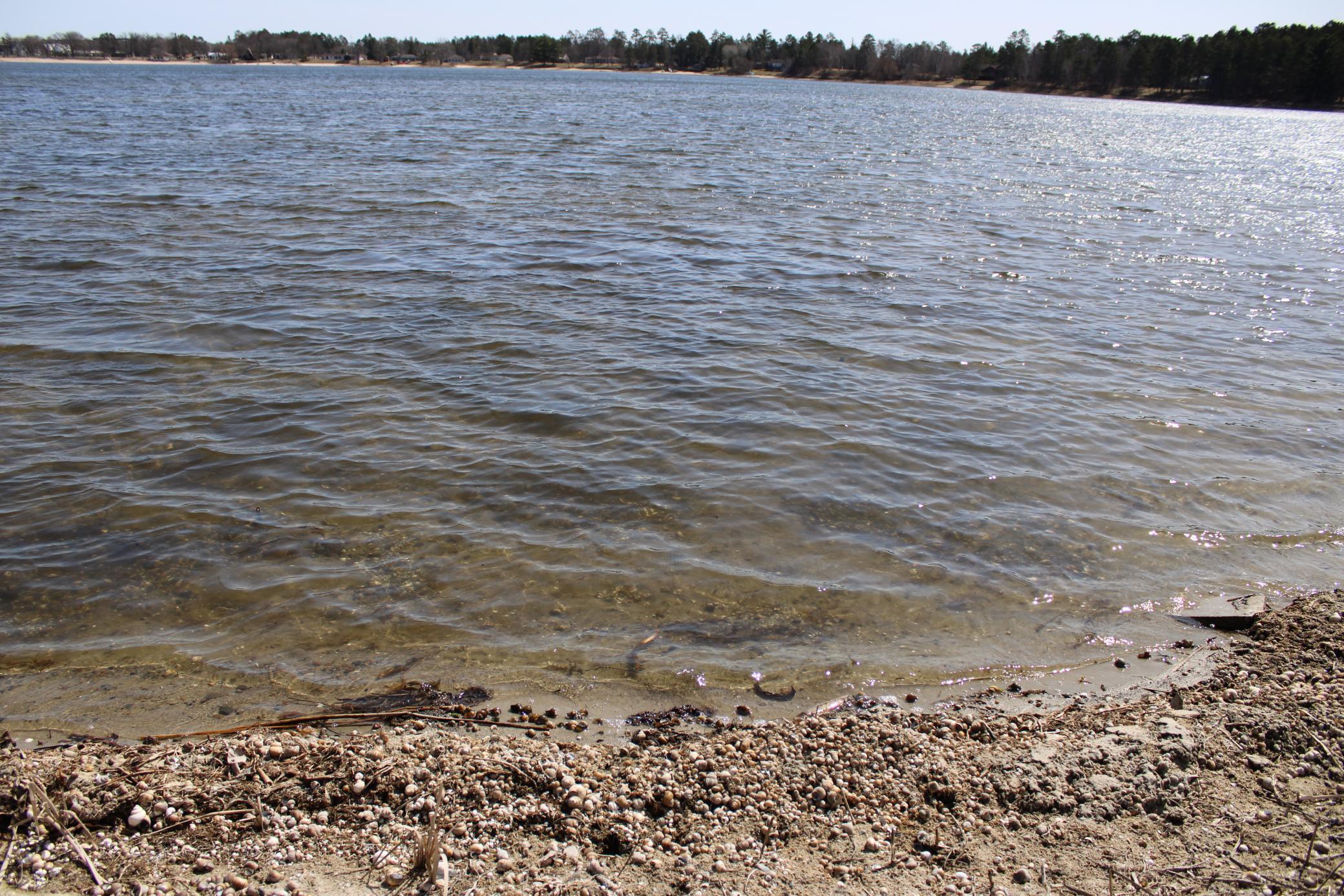 520 Main Street Menahga, MN 56464 - Photo 26 of 31