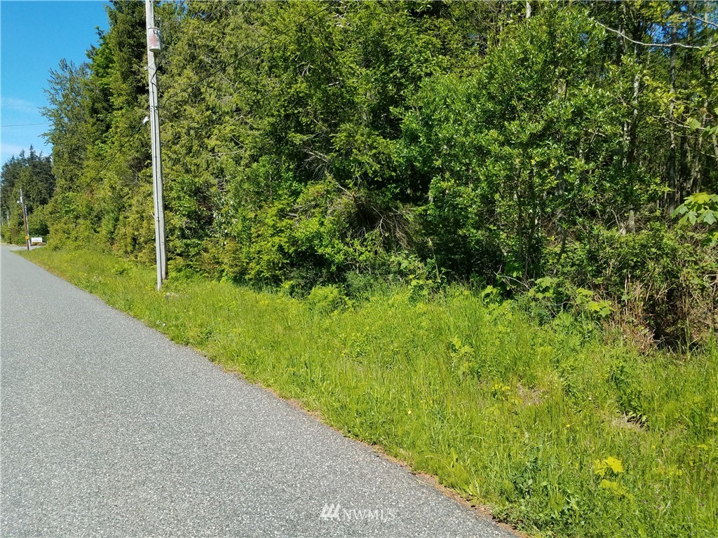 4976 Mercer Road, Unit A Bow, WA 98232 - Photo 3 of 10 Gallery Image 3