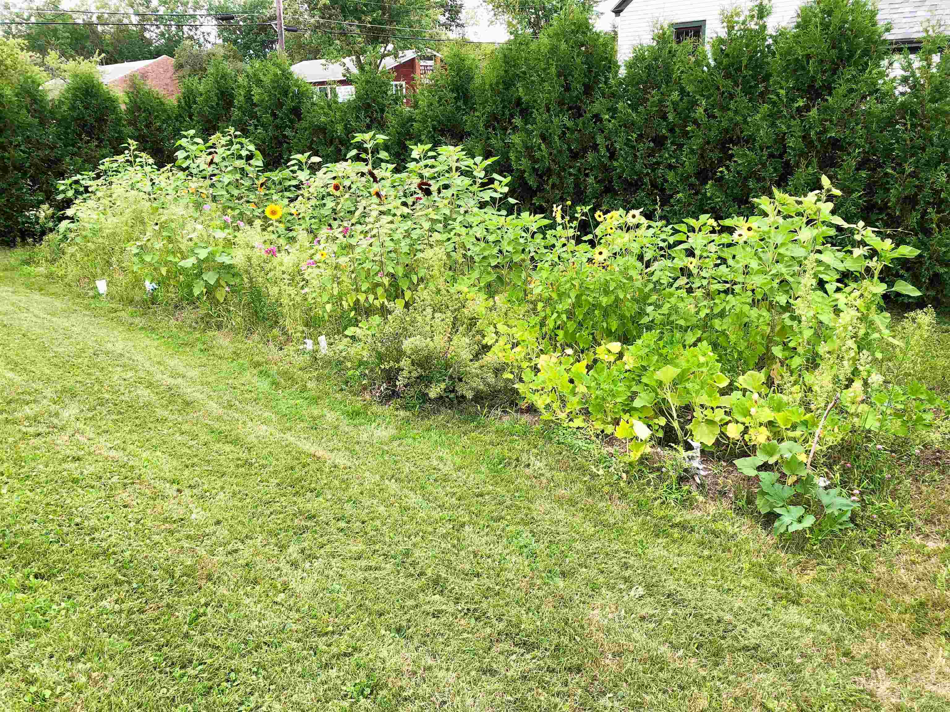 50 Patchen Road South Burlington, VT 05403 - Photo 22 of 29 Gallery Image 22