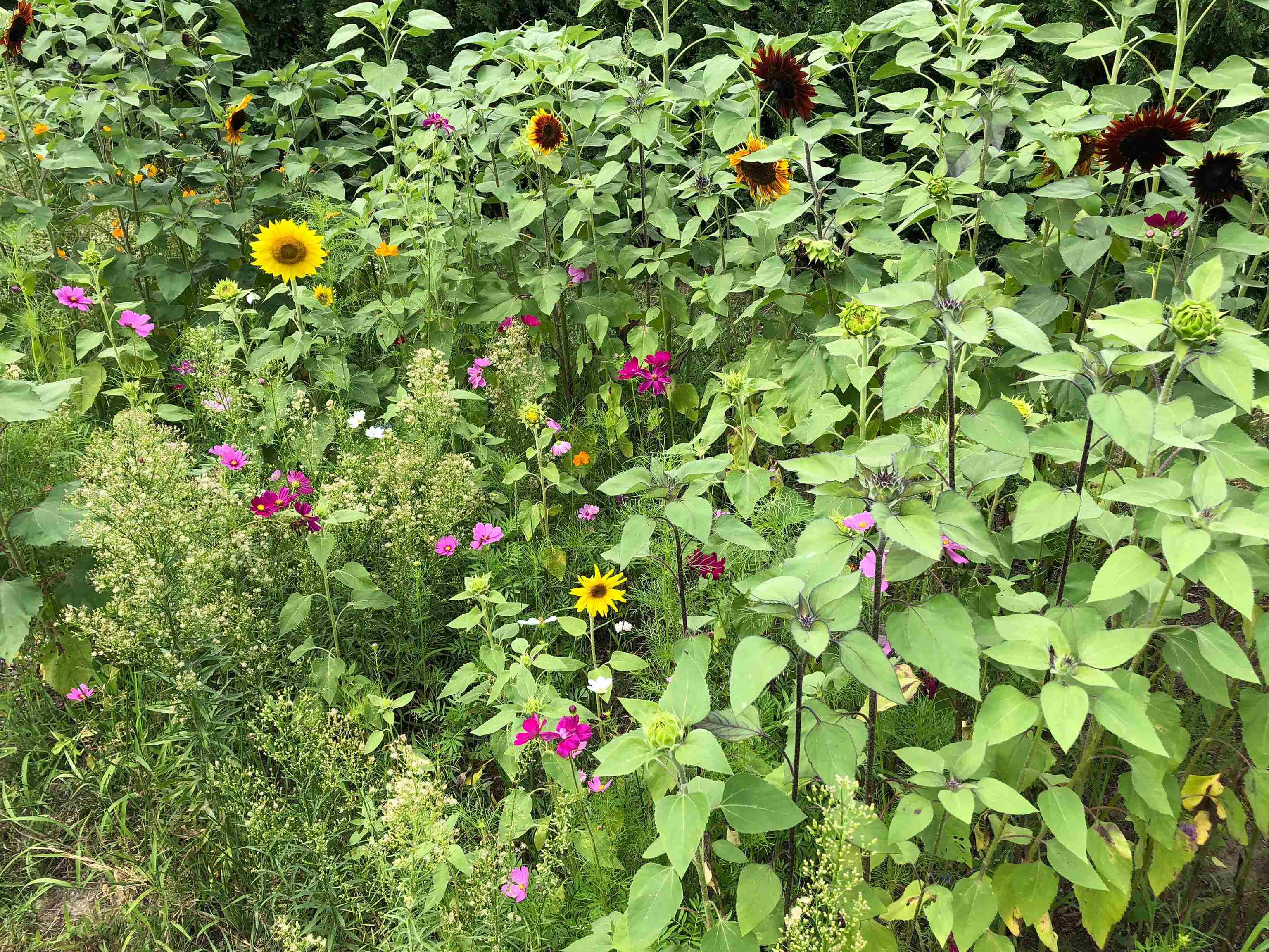 50 Patchen Road South Burlington, VT 05403 - Photo 26 of 29 Gallery Image 26