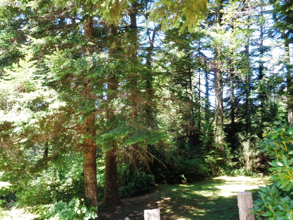 93855 Johnell Road North Bend, OR 97459 - Photo 30 of 32 Gallery Image 30
