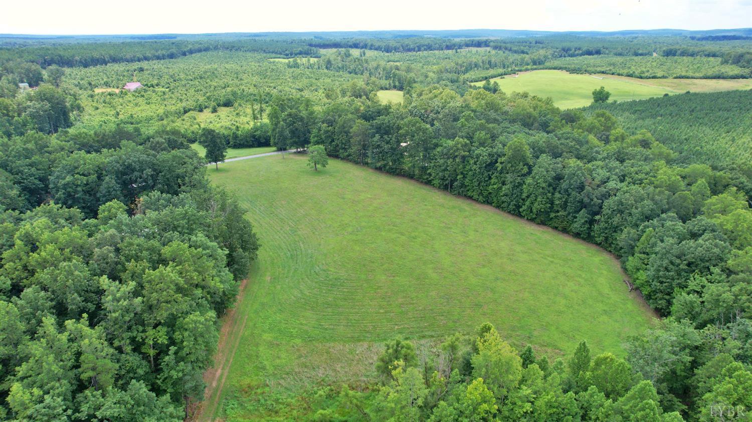 1147 Union Church Road Gladstone, VA 24553 - Photo 59 of 89 a view of a lush green forest with trees and some houses