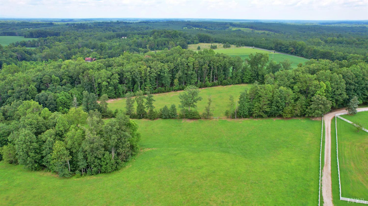 1147 Union Church Road Gladstone, VA 24553 - Photo 60 of 89 a view of a lush green forest with a mountain