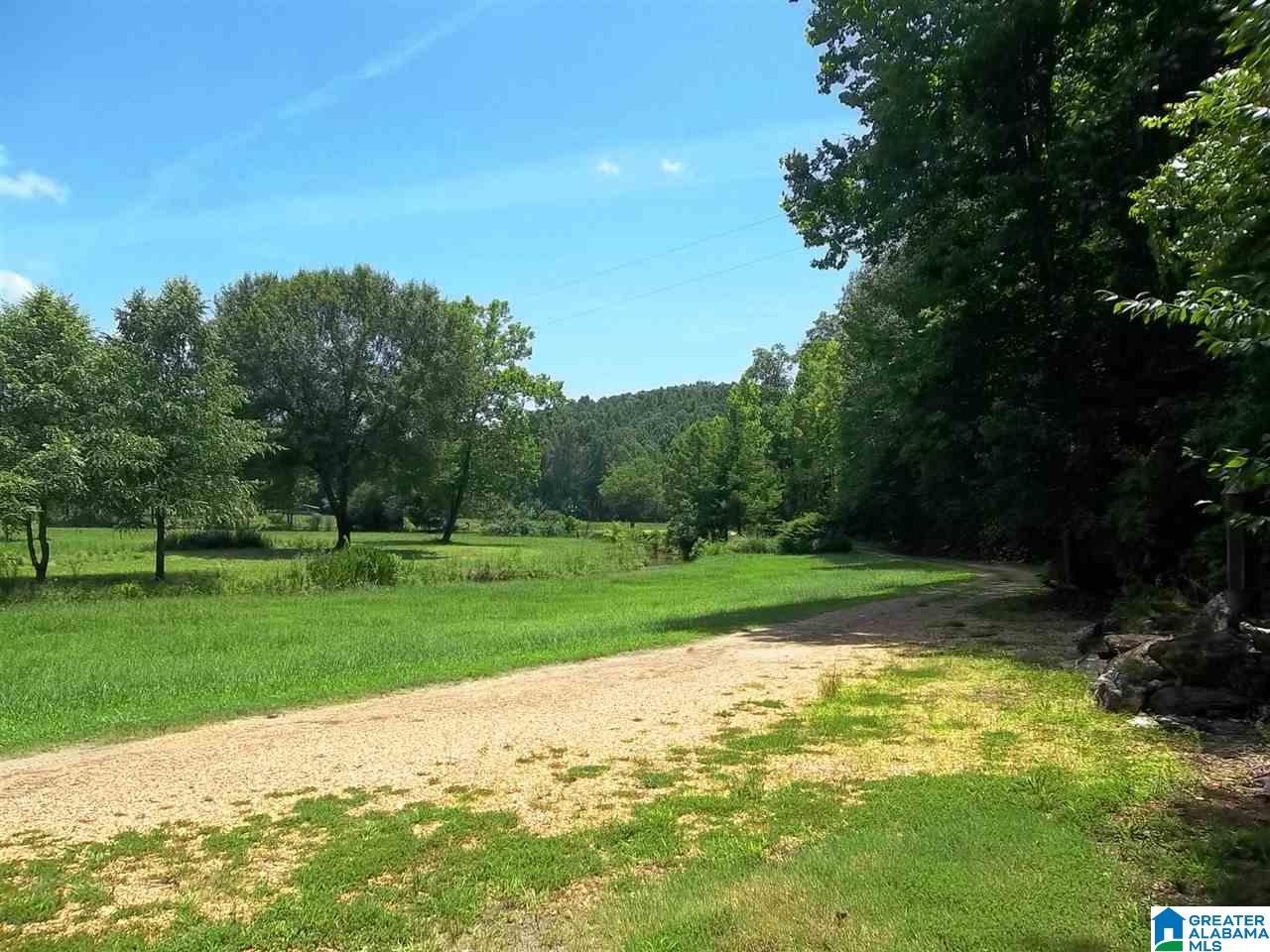 711 Green Acres Road Talladega, AL 35160 - Photo 6 of 36