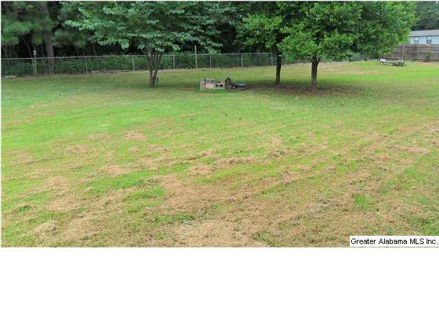 315 Mcgowan Road Wilsonville, AL 35186 - Photo 11 of 11