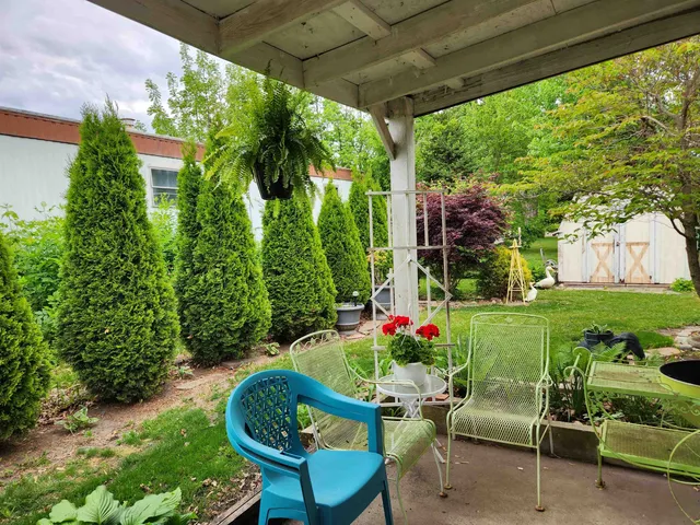 a garden with plants and a fountain