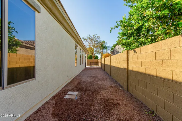 a view of a park with large trees