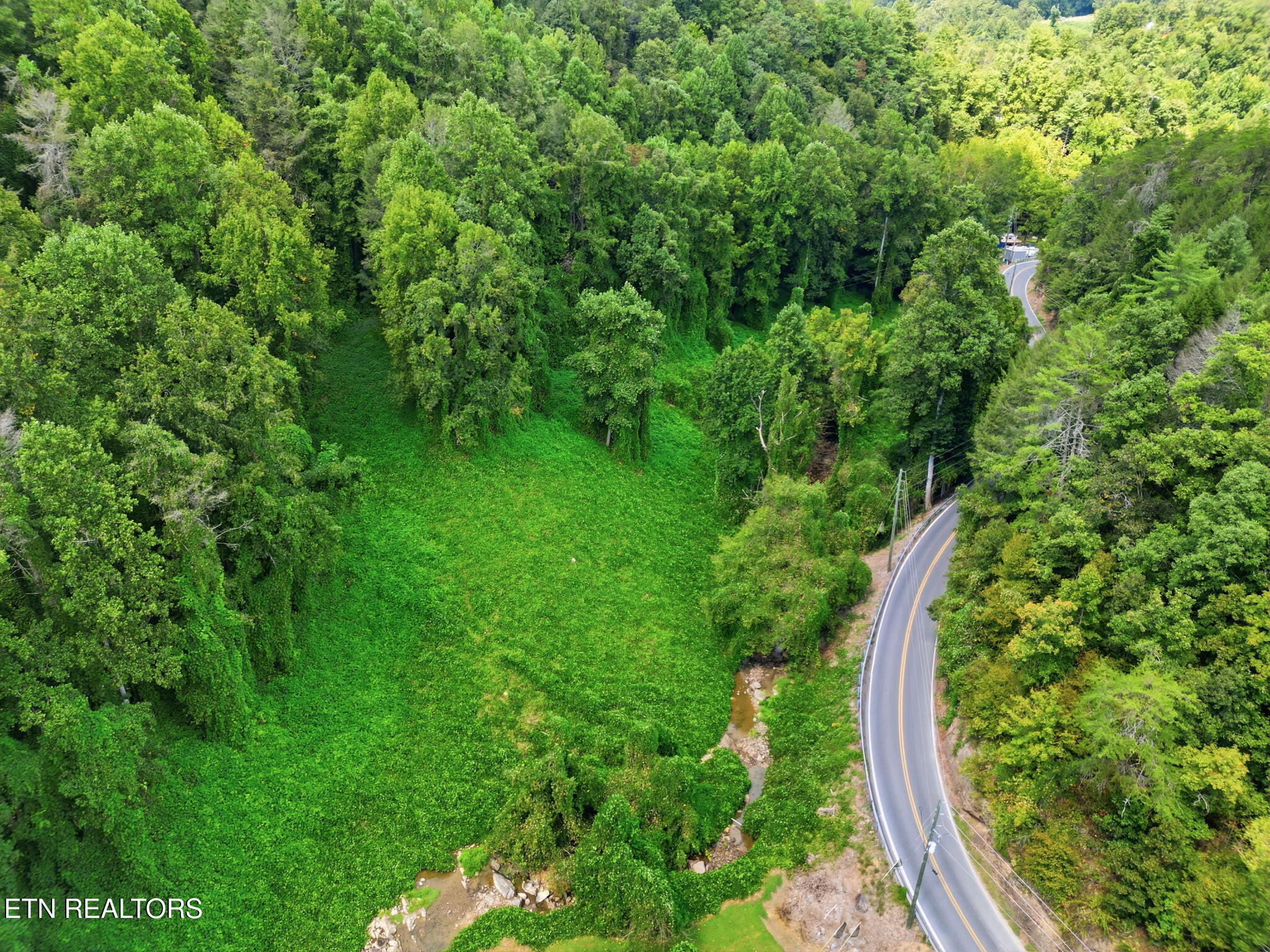 3910 Wilhite Road Sevierville, TN 37876 - Photo 22 of 45 22-web-or-mls-DJI_0914