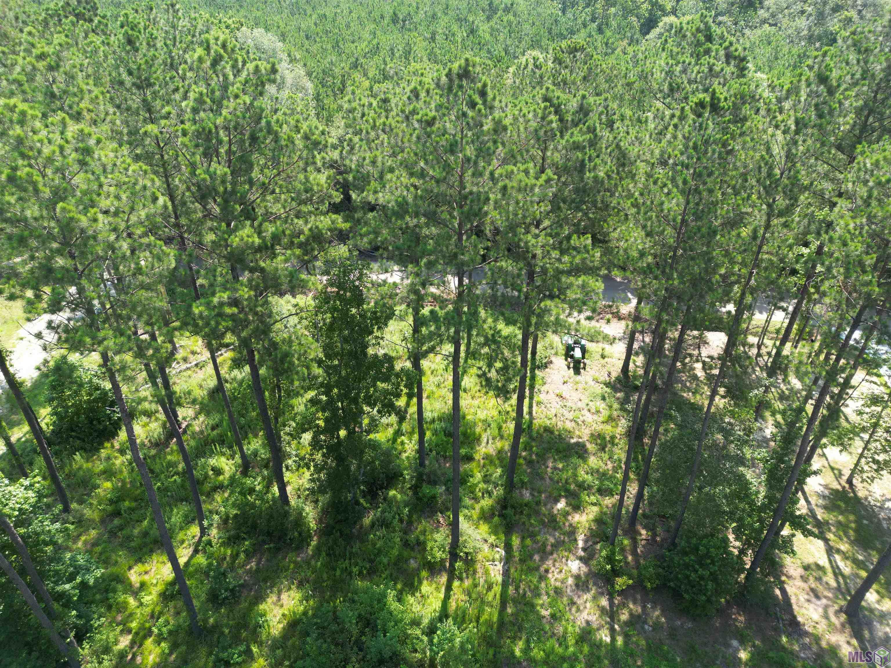 25845 Clyde Blount Road Livingston, LA 70754 - Photo 2 of 6 Gallery Image 2