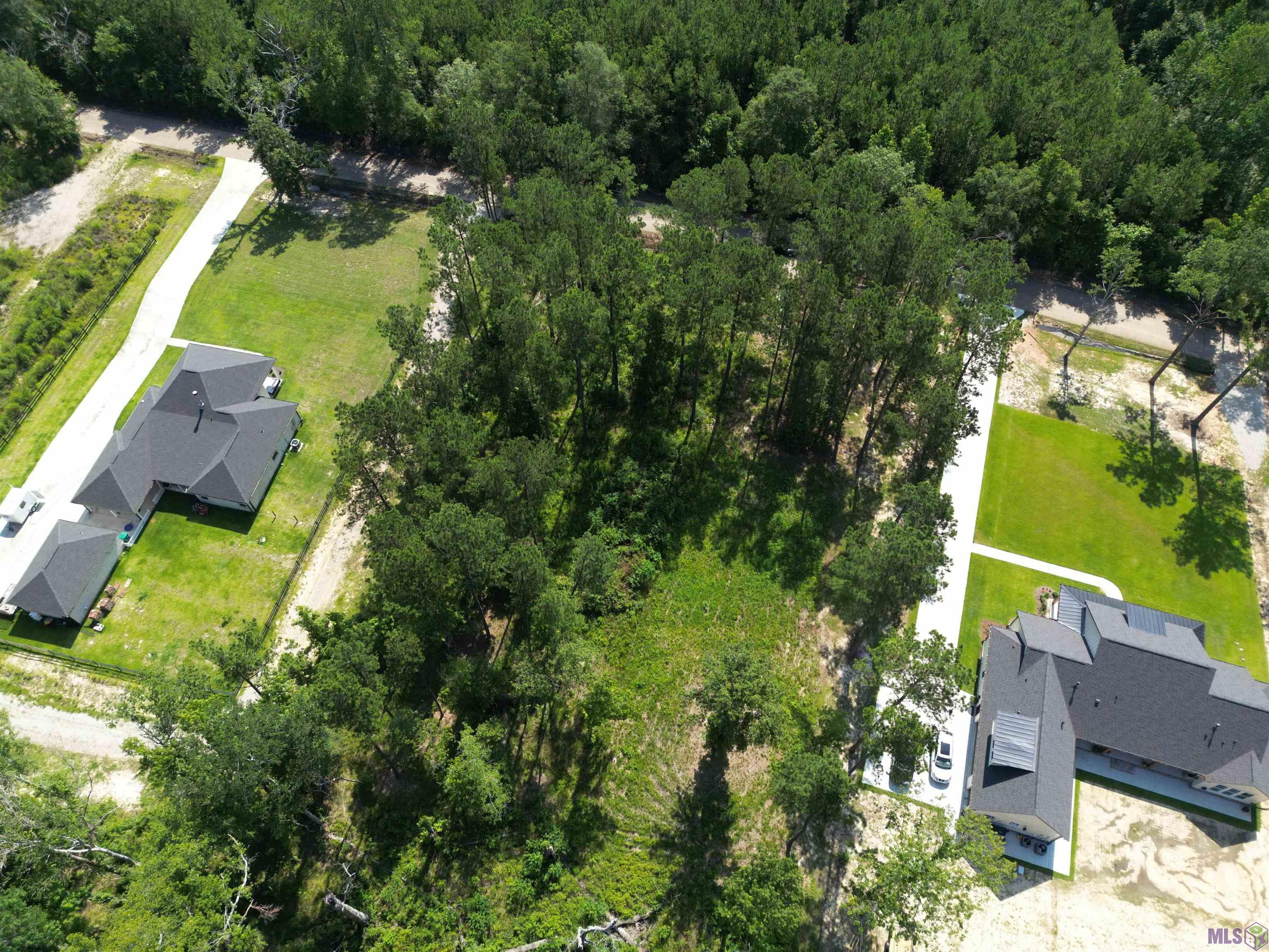 25845 Clyde Blount Road Livingston, LA 70754 - Photo 3 of 6 Gallery Image 3