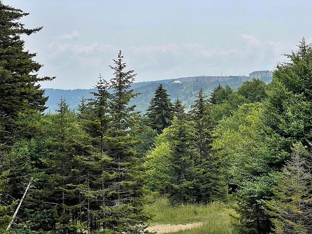 47 Powderidge Road, Unit 73 Snowshoe, WV 26209 - Photo 15 of 15 Gallery Image 15