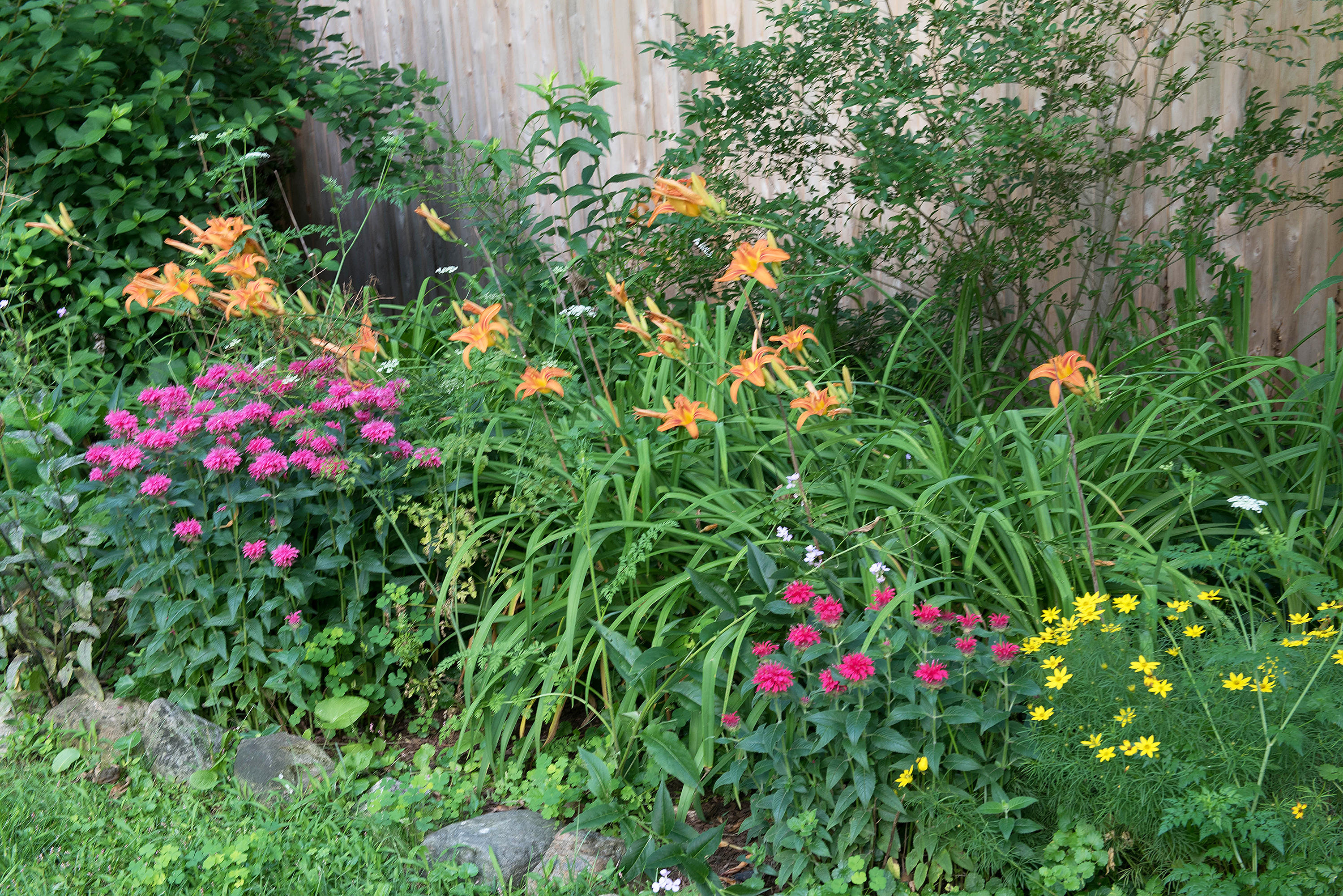 103 Jelliff Mill Road New Canaan, CT 06840 - Photo 25 of 30 a view of a flower in a garden