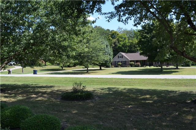 View out the front door look at the spacious yards & beautiful trees