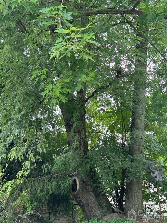 13 Parsons Road East Brunswick, NJ 08816 - Photo 37 of 39 a backyard of a house with lots of trees