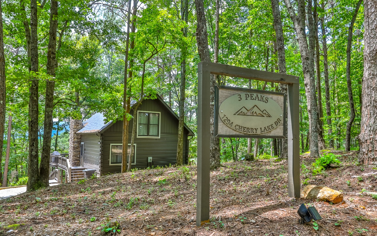 1294 Cherry Lake Drive Blue Ridge, GA 30513 - Photo 10 of 41 Additional View