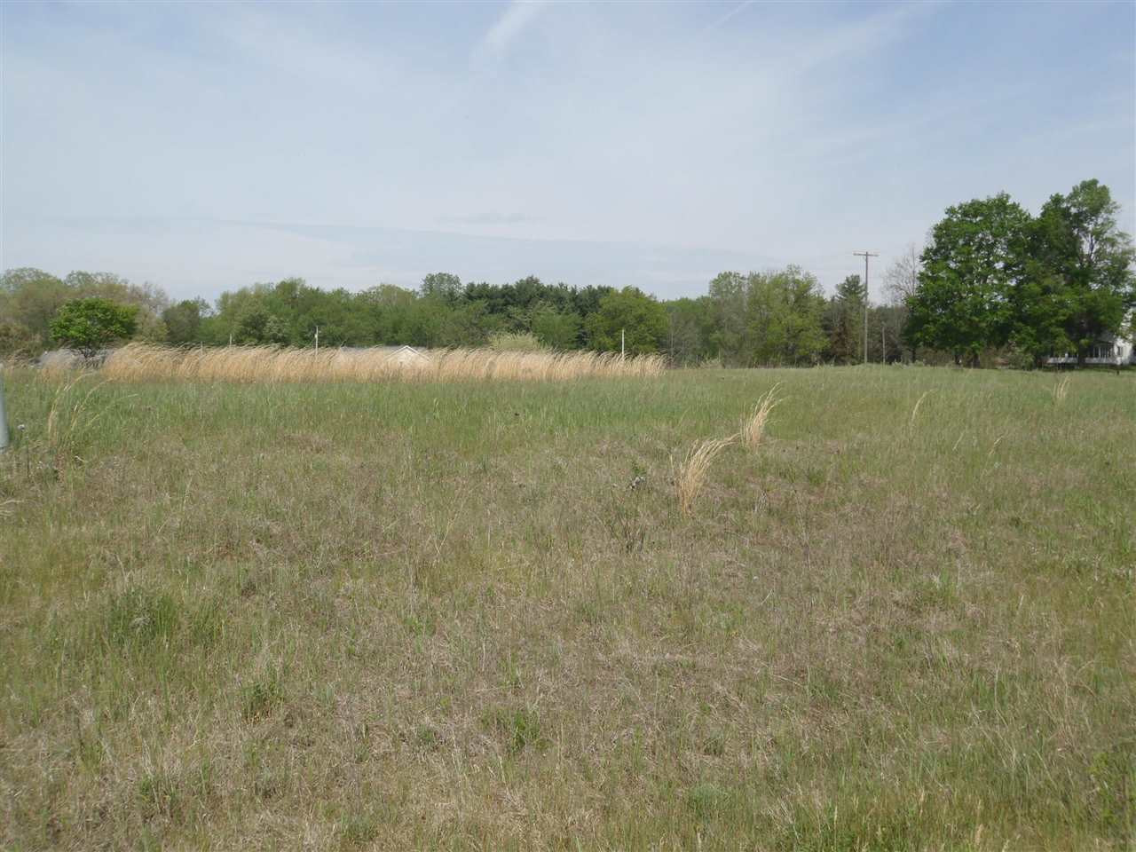34 Bryde Drive Rives Junction, MI 49277 - Photo 4 of 4 Photo 4