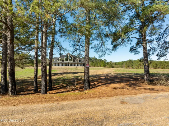 $865,000 | 121 Mack Cemetery Road, Prentiss, MS 39474