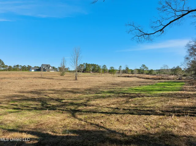 $865,000 | 121 Mack Cemetery Road, Prentiss, MS 39474
