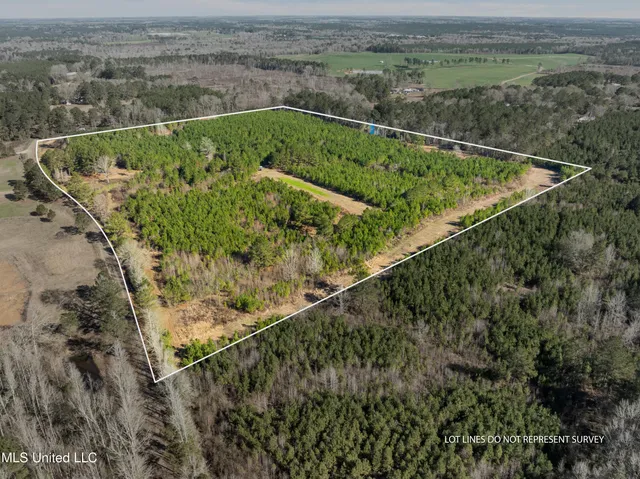$865,000 | 121 Mack Cemetery Road, Prentiss, MS 39474