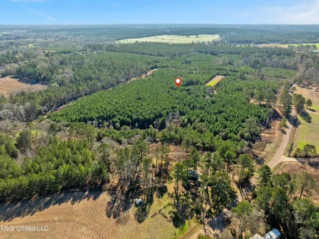 $865,000 | 121 Mack Cemetery Road, Prentiss, MS 39474