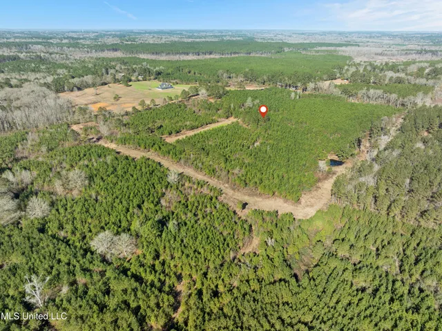 $865,000 | 121 Mack Cemetery Road, Prentiss, MS 39474