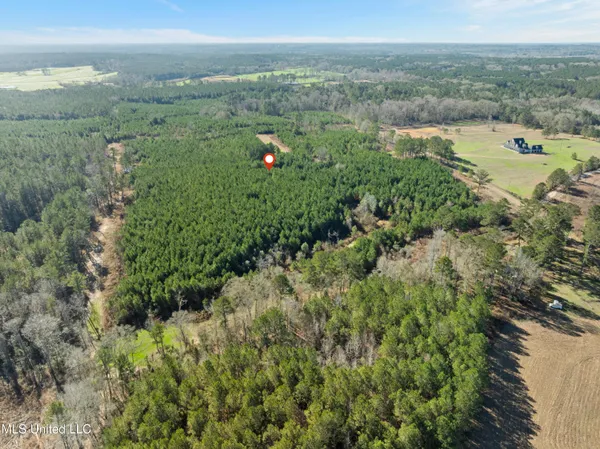 $799,000 | 121 Mack Cemetery Road, Prentiss, MS 39474