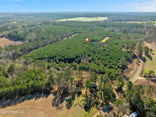 $799,000 | 121 Mack Cemetery Road, Prentiss, MS 39474