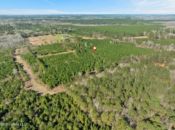 $799,000 | 121 Mack Cemetery Road, Prentiss, MS 39474