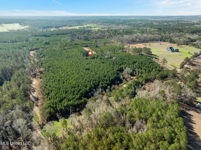 $865,000 | 121 Mack Cemetery Road, Prentiss, MS 39474