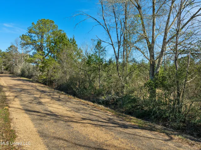 $865,000 | 121 Mack Cemetery Road, Prentiss, MS 39474