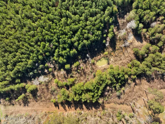 $865,000 | 121 Mack Cemetery Road, Prentiss, MS 39474