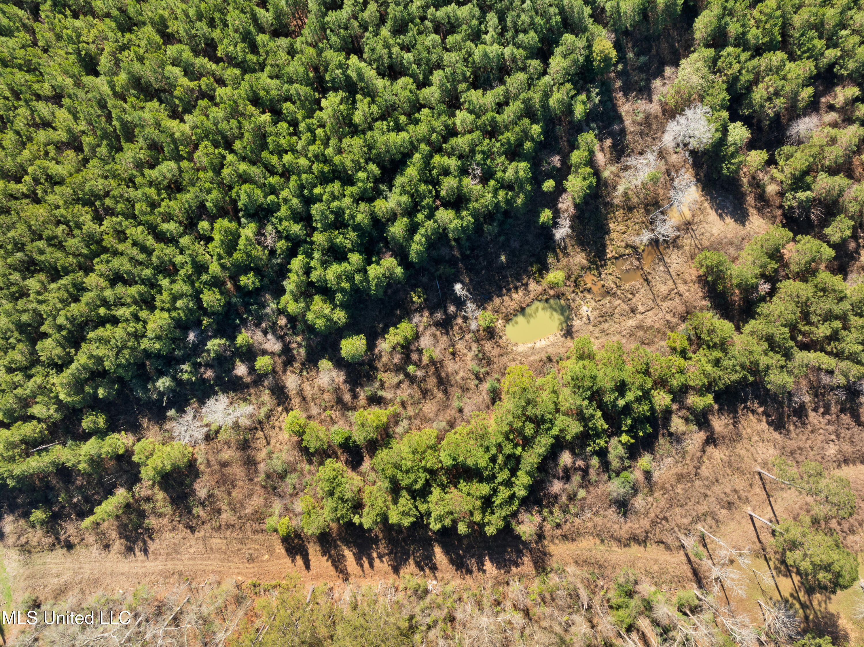 121 Mack Cemetery Road Prentiss, MS 39474 - Photo 84 of 90 121_Mack_Cemetery_Rd-80