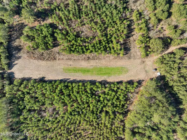 $799,000 | 121 Mack Cemetery Road, Prentiss, MS 39474