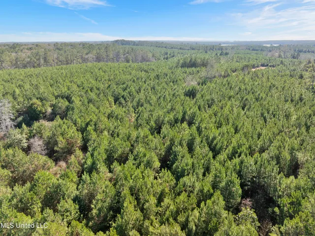 $865,000 | 121 Mack Cemetery Road, Prentiss, MS 39474