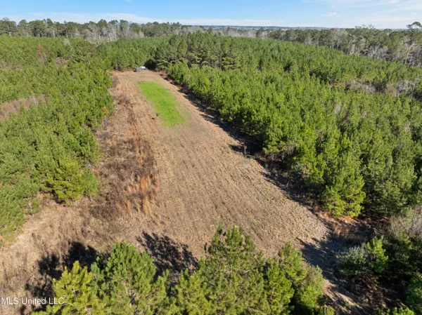 $799,000 | 121 Mack Cemetery Road, Prentiss, MS 39474