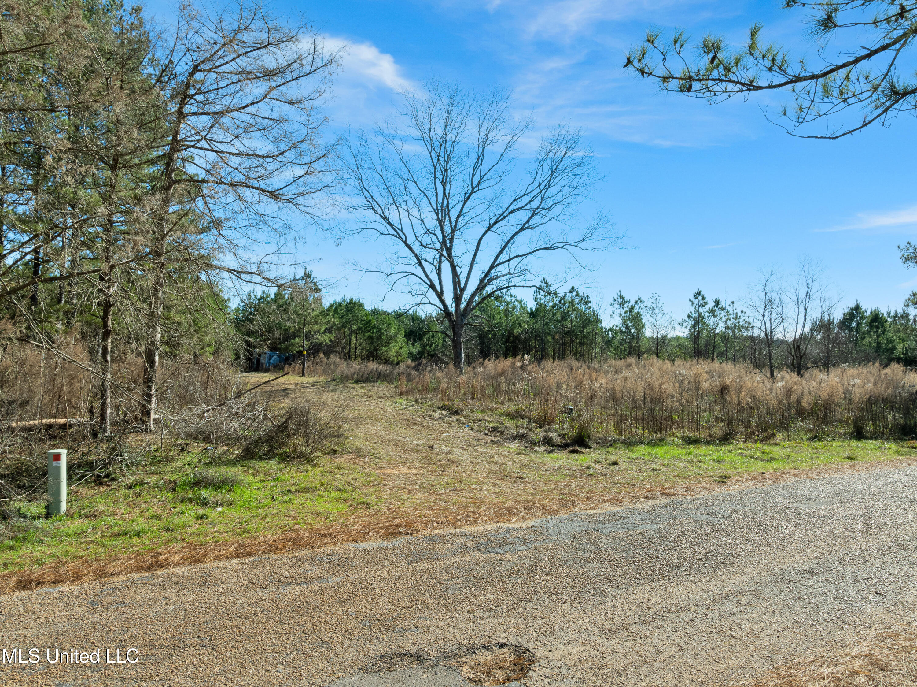 121 Mack Cemetery Road Prentiss, MS 39474 - Photo 87 of 90 121_Mack_Cemetery_Rd-83