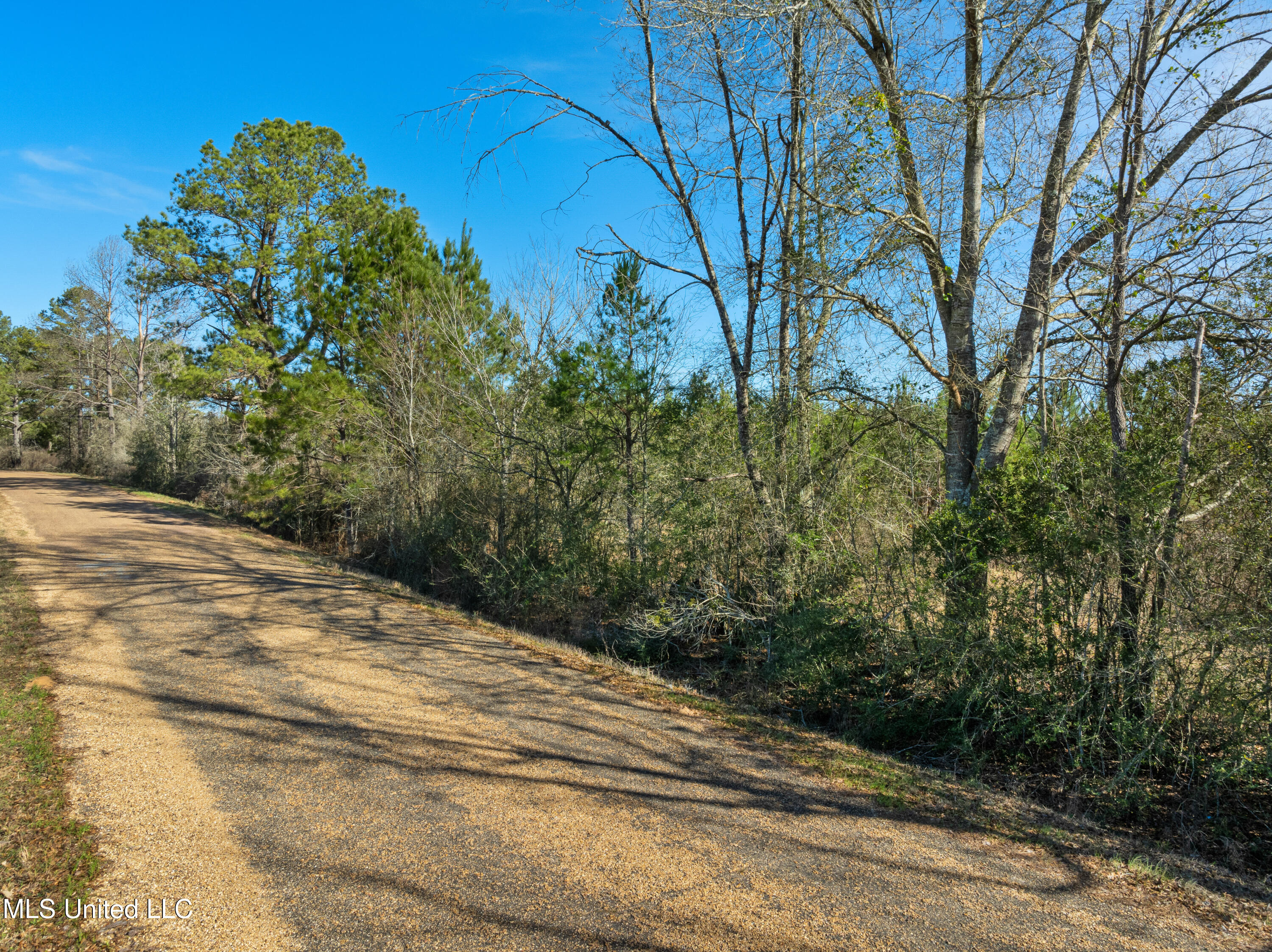 121 Mack Cemetery Road Prentiss, MS 39474 - Photo 88 of 90 121_Mack_Cemetery_Rd-84