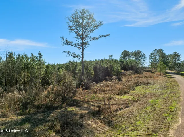 $865,000 | 121 Mack Cemetery Road, Prentiss, MS 39474