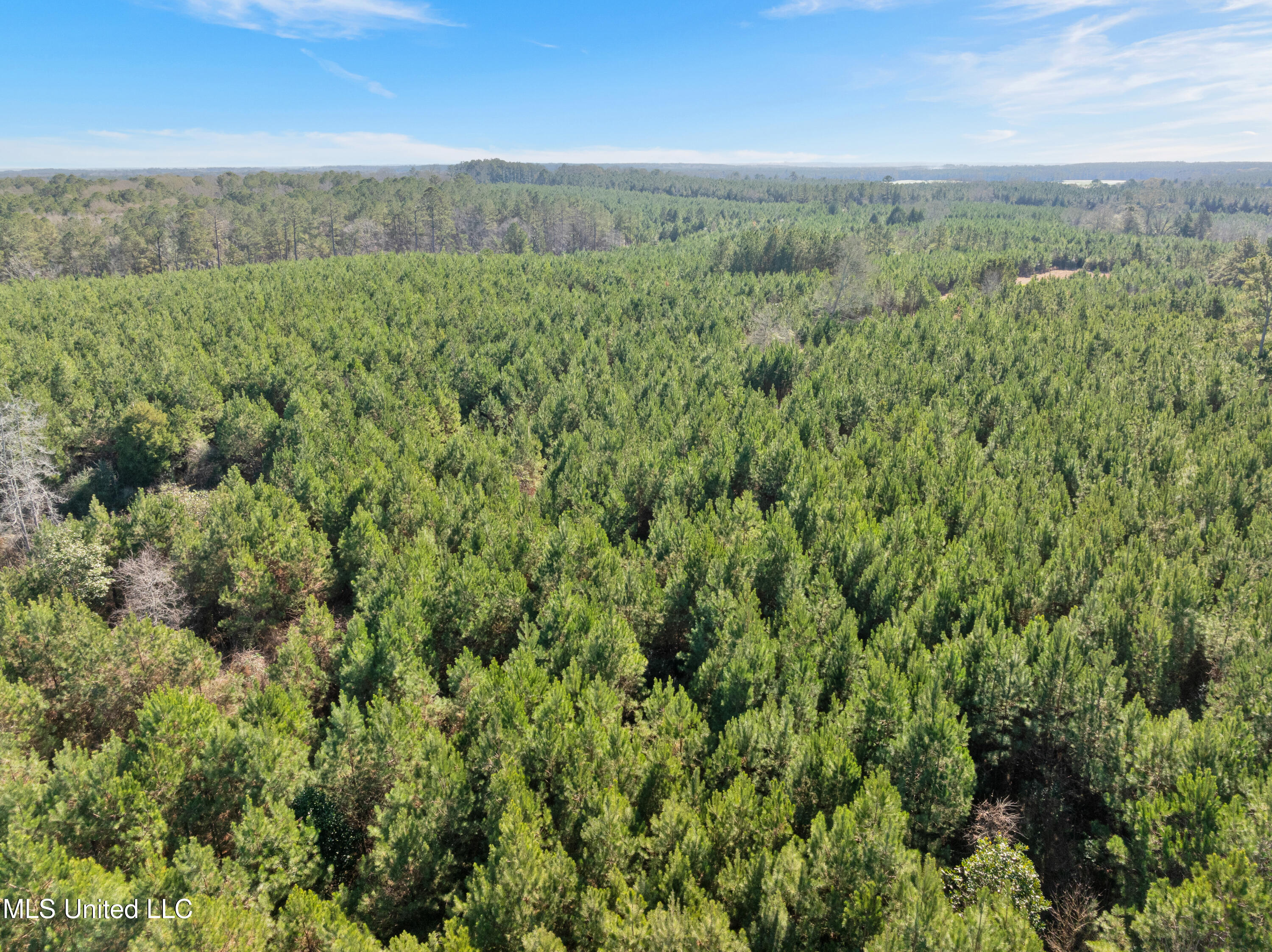 121 Mack Cemetery Road Prentiss, MS 39474 - Photo 90 of 90 121_Mack_Cemetery_Rd-86